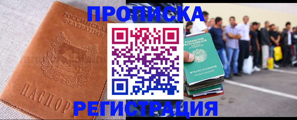 прописка паспорт в Новодвинске